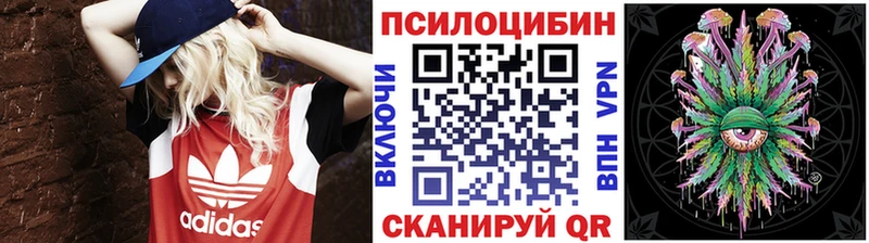 наркота  Алагир  Псилоцибиновые грибы Cubensis 